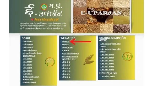 MP euparjan
