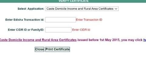e disha verification