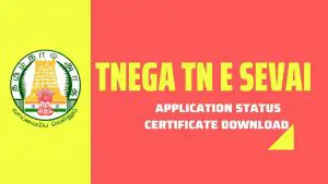 Read more about the article TNEGA Tnesevai Portal 2024: TN e sevai Login, Status, tnsevai.tn.govt.in