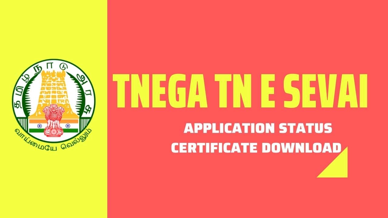 tnega tn e sevai poster