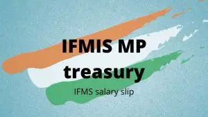Read more about the article IFMIS MP Treasury Salary Slip 2023 | MP Employee Pay Slip