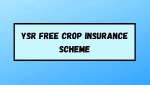 Read more about the article (Apply) YSR Free Crop Insurance Scheme 2023: Beneficiary List & Status