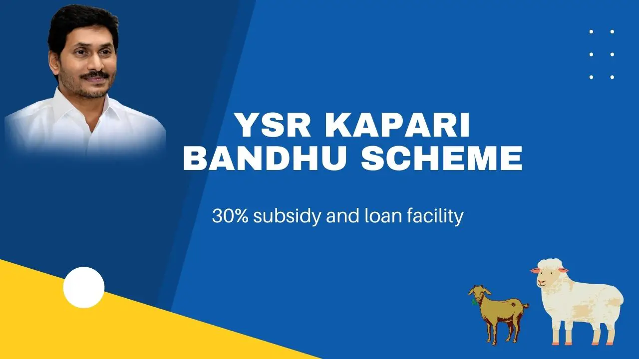Read more about the article YSR Kapari Bandhu Scheme 2023: Apply Online, Features & Eligibility