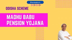 Read more about the article Madhu Babu Pension Yojana Odisha 2024: Apply Online & Beneficiary List