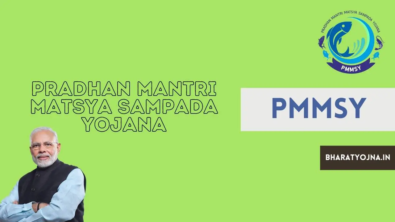 You are currently viewing Pradhan Mantri Matsya Sampada Yojana 2024 Apply Online | PMMSY