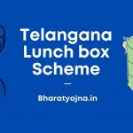 Telangana Lunch Box Scheme: Benefits For Pregnant Ladies Apply Online