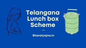 Read more about the article Telangana Lunch Box Scheme 2023 Benefits For Pregnant Ladies Apply Online