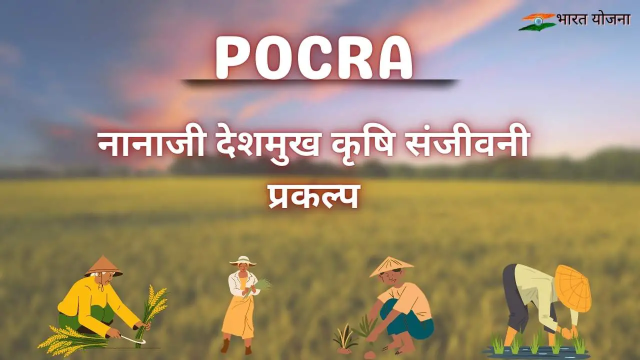 Read more about the article Pocra 2024 नानाजी देशमुख कृषि संजीवनी प्रकल्प, DBT Pocra