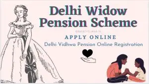 Read more about the article Delhi Widow Pension Scheme 2024: Application Form & Eligibility