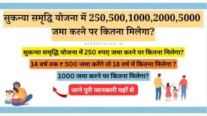 Read more about the article सुकन्या समृद्धि योजना में 500,1000,2000,5000 जमा करने पर कितना मिलेगा?
